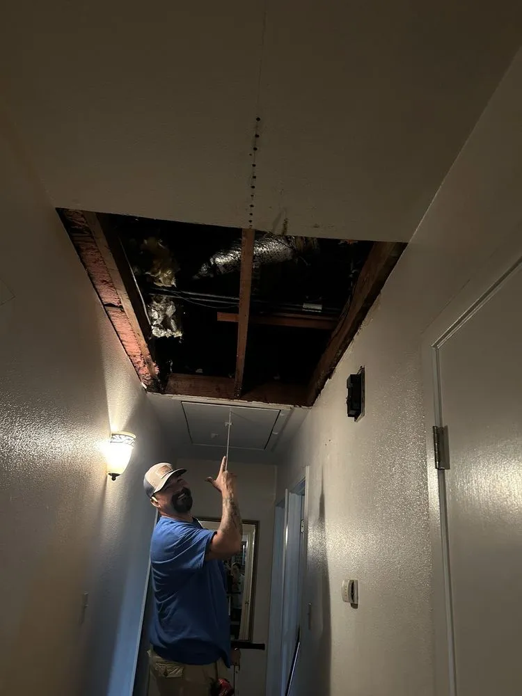 Local landscape installation in League City, TX by Hollywood Construction and Landclearing