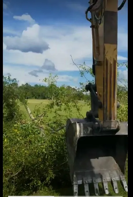 Top-rated yard cleanup service in League City, TX - Hollywood Construction and Landclearing