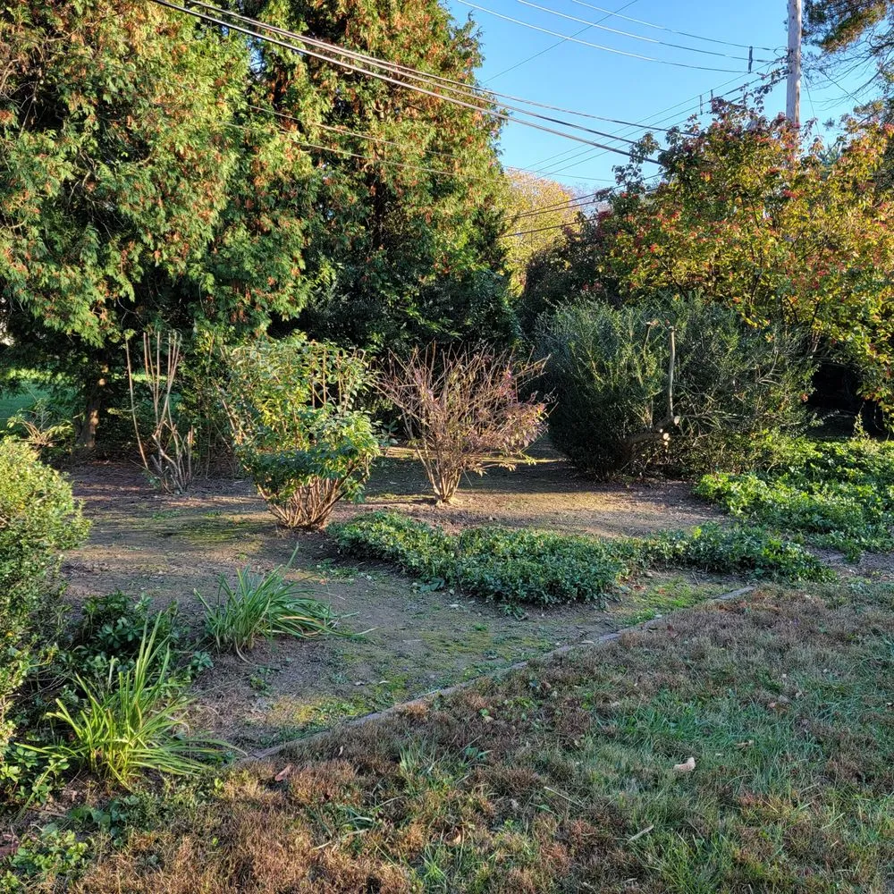 Professional lawn mowing service for beautiful yards across Media, PA - Hollywood Landscaping