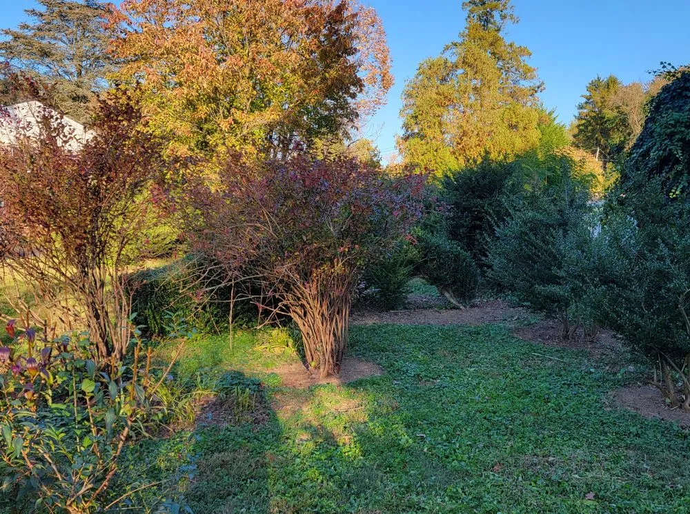 Local landscape design for year-round maintenance across Media, PA - Hollywood Landscaping