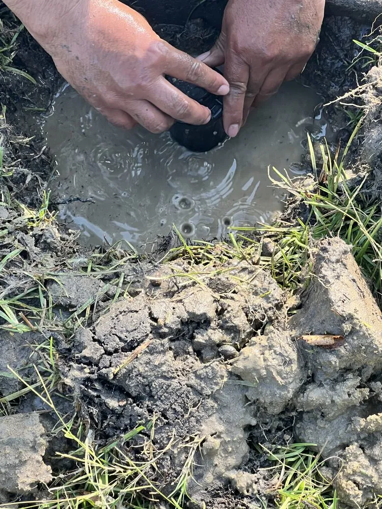 Professional yard maintenance in Warner Robins, GA by Hollywood Landscaping