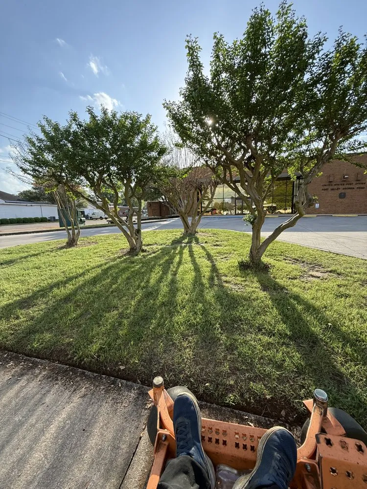 Expert residential landscaping for homes across Warner Robins, GA - Hollywood Landscaping