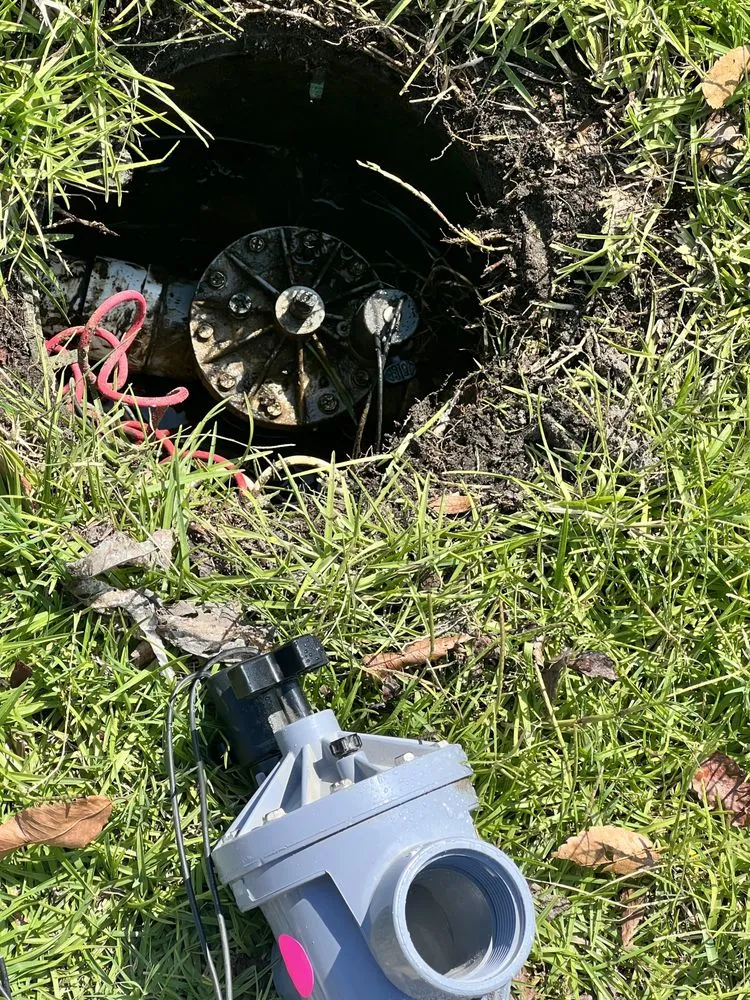 Top-rated yard cleanup service for outdoor upgrades across Warner Robins, GA - Hollywood Landscaping