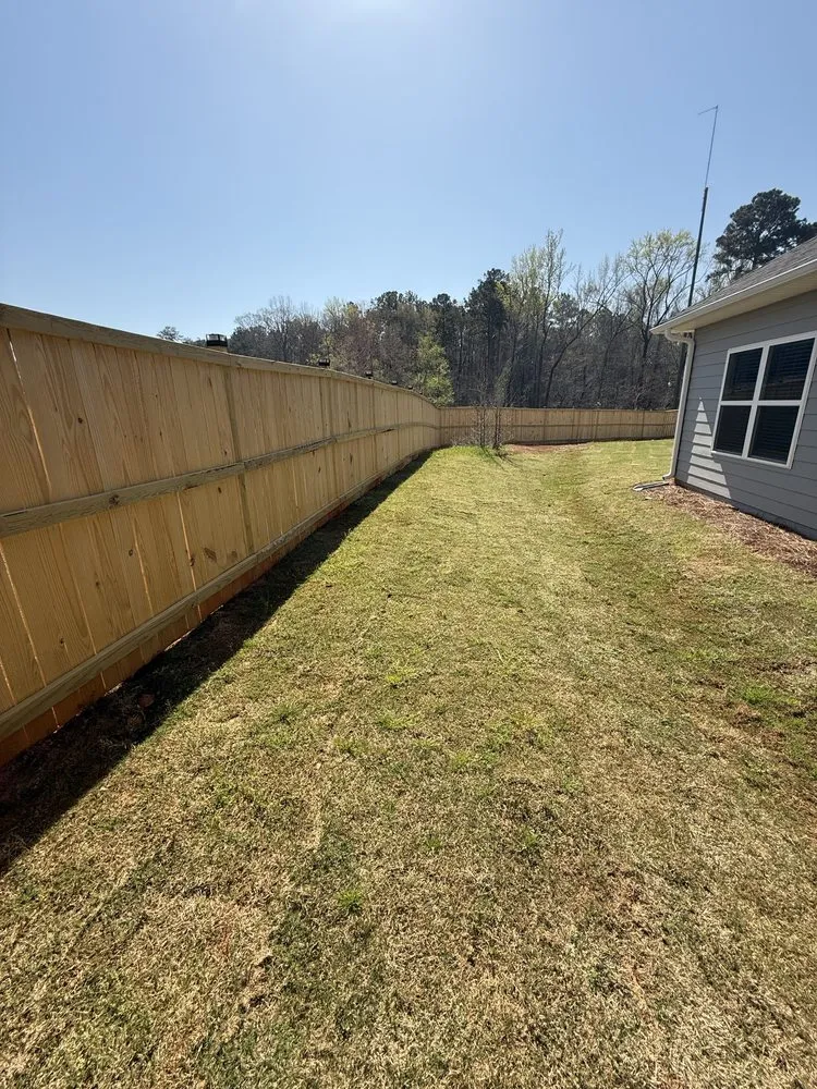 Expert yard cleanup service experts serving Warner Robins, GA - Hollywood Landscaping