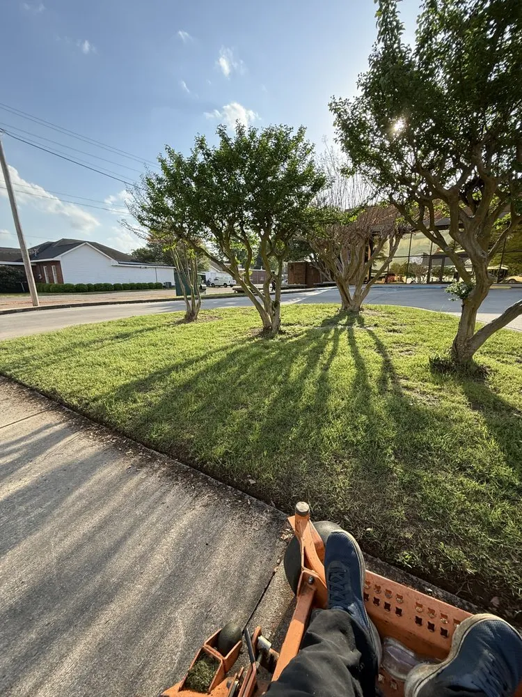 Professional landscape design near you in Warner Robins, GA by Hollywood Landscaping