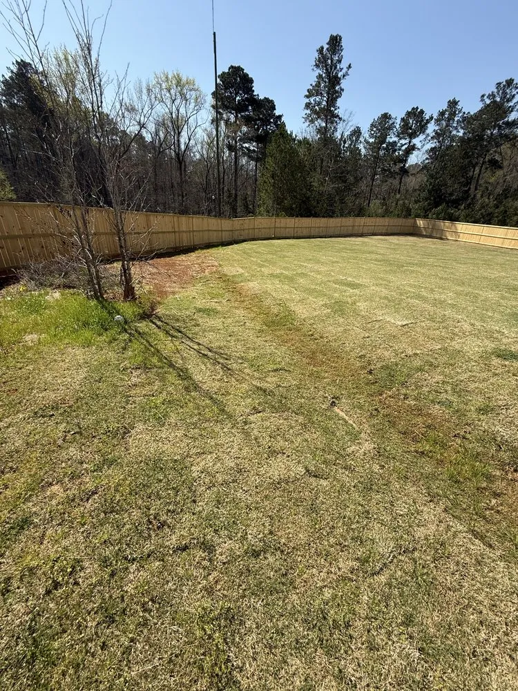 Top-rated yard cleanup service in Warner Robins, GA - Hollywood Landscaping