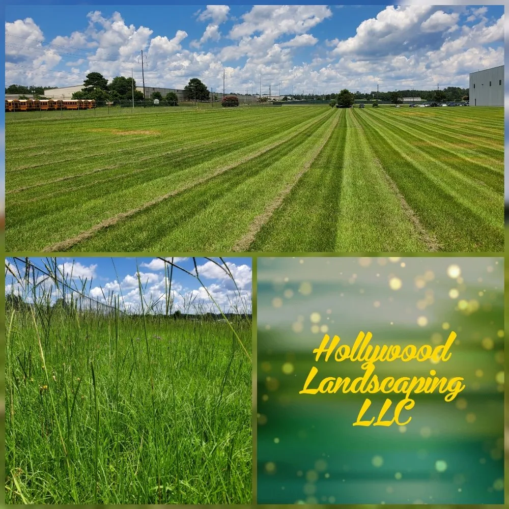 Top-rated lawn mowing service for outdoor upgrades across Warner Robins, GA - Hollywood Landscaping