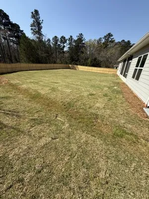 Hollywood Landscaping