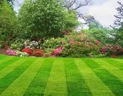 Hollywood Lawn & Landscape Logo