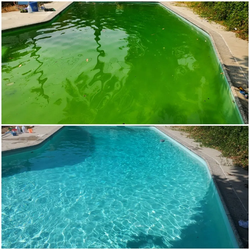 Expert landscaping services in Toluca Lake, CA - Hollywood Lawn & Pools