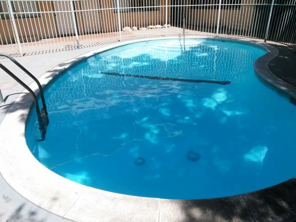 Professional landscape design in Toluca Lake, CA by Hollywood Lawn & Pools