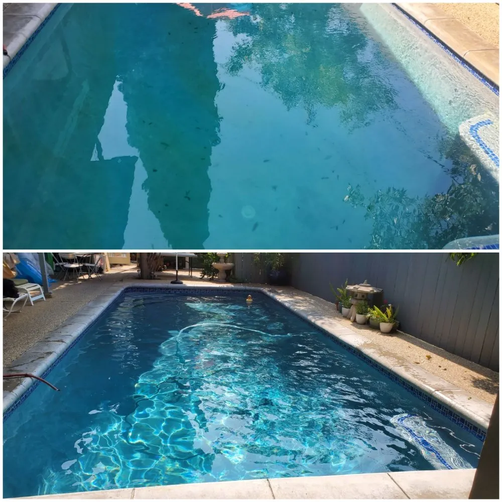 Trusted lawn care service in Toluca Lake, CA - Hollywood Lawn & Pools