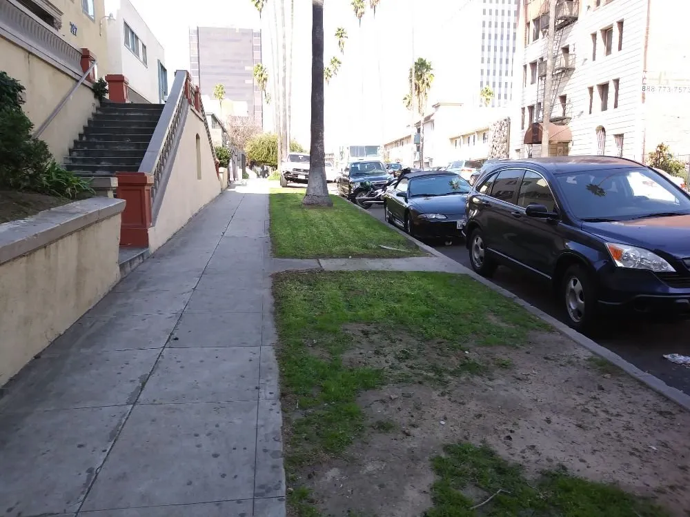 Professional yard cleanup service in Toluca Lake, CA - Hollywood Lawn & Pools