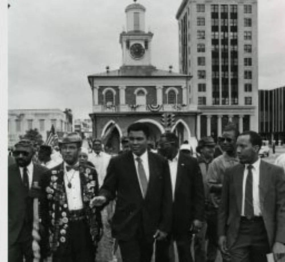 Affordable lawn mowing service in Fayetteville, NC - Hollywood Lawn Care And Improvement