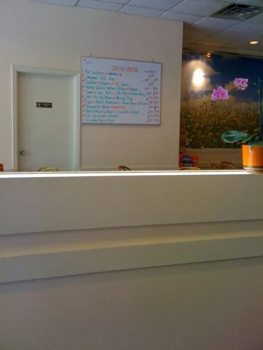 Top-rated landscape installation in New Orleans, LA - Hollywood South Landscaping