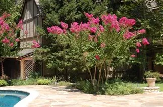 Trusted lawn care service for residential properties across Los Angeles, CA - Hollywood Tree Service