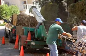Reliable garden landscaping for year-round maintenance across Los Angeles, CA - Hollywood Tree Service
