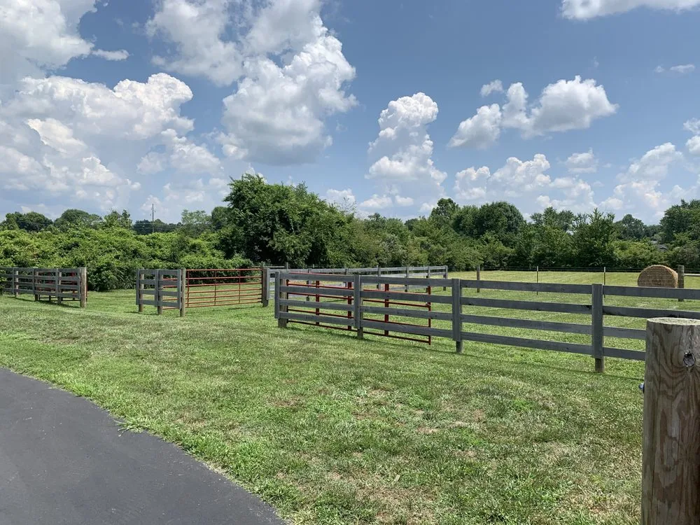 Professional residential landscaping with custom design in Berea, KY by Hollywood’s Lawn Care