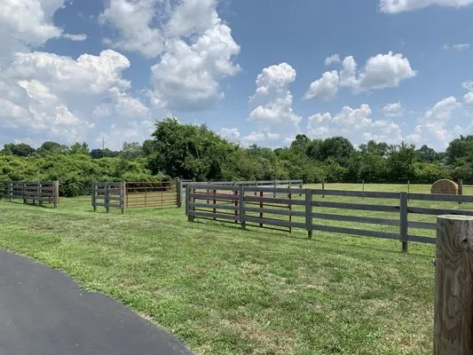 Hollywood’s Lawn Care Logo