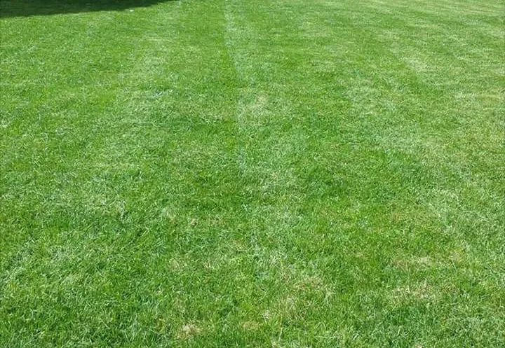 Professional landscaping services in Morganfield, KY by Holm & Kepp Outdoor Services