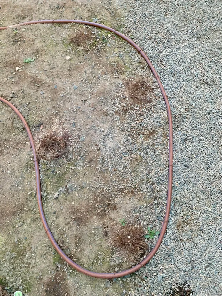 Top-rated yard cleanup service experts serving Bend, OR - Holm Landscaping