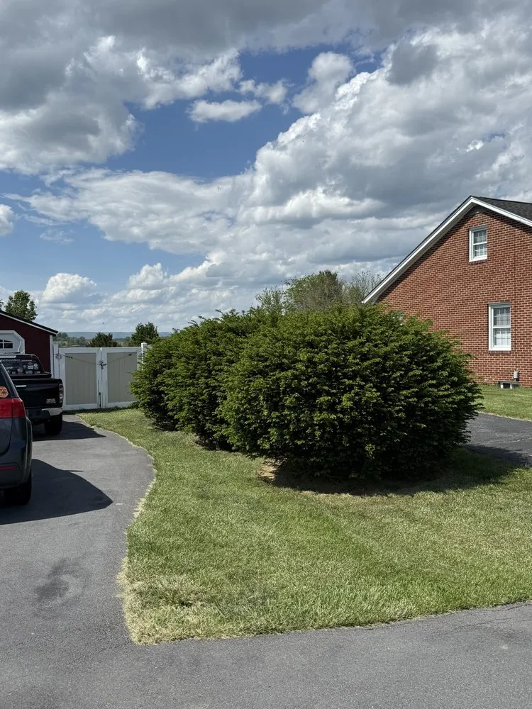 Top-rated landscape installation for beautiful yards across Berryville, VA - Holmes Brothers Landscaping