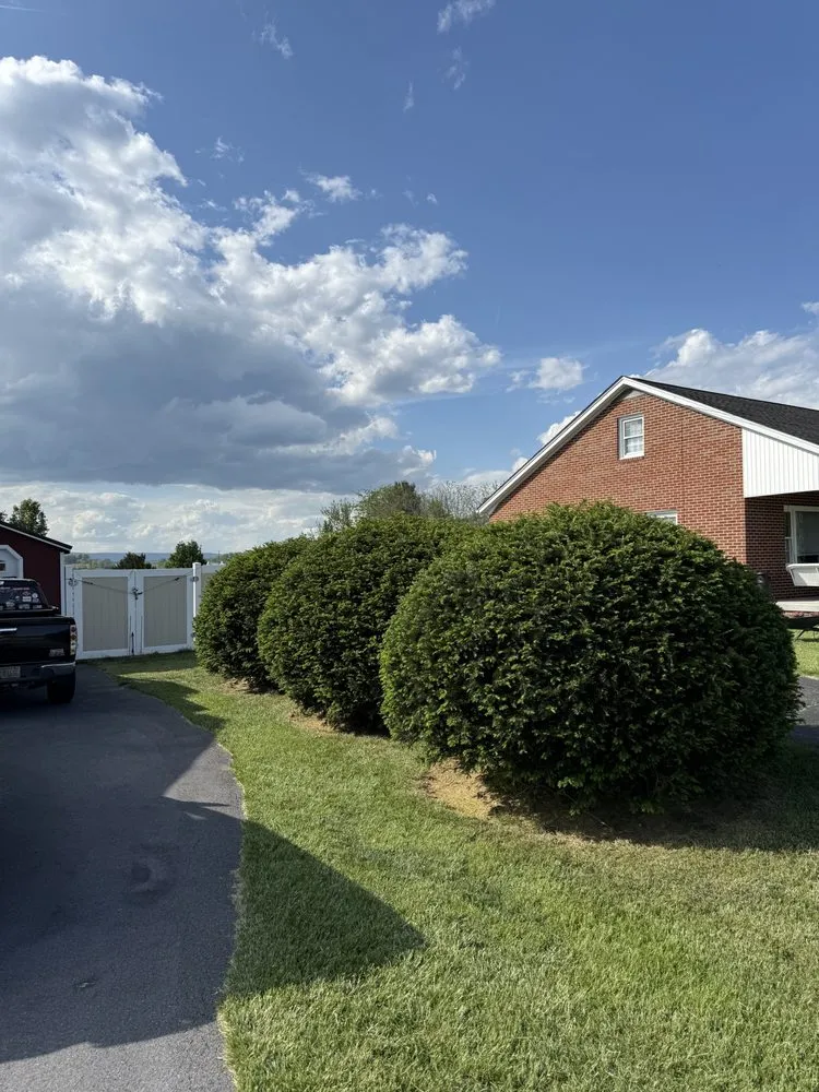 Local lawn mowing service with custom design in Berryville, VA by Holmes Brothers Landscaping