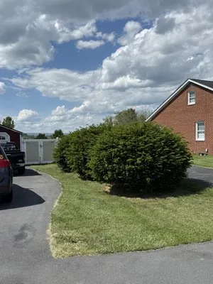 Holmes Brothers Landscaping