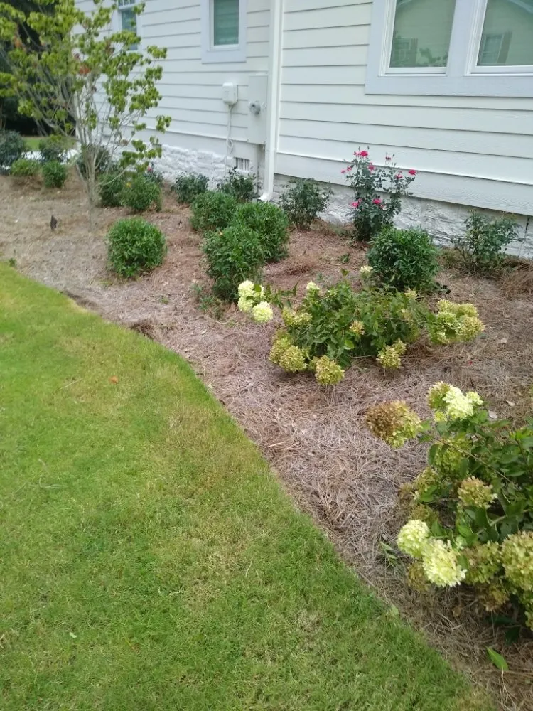 Custom landscape installation in Statham, GA - Holmes Irrigation