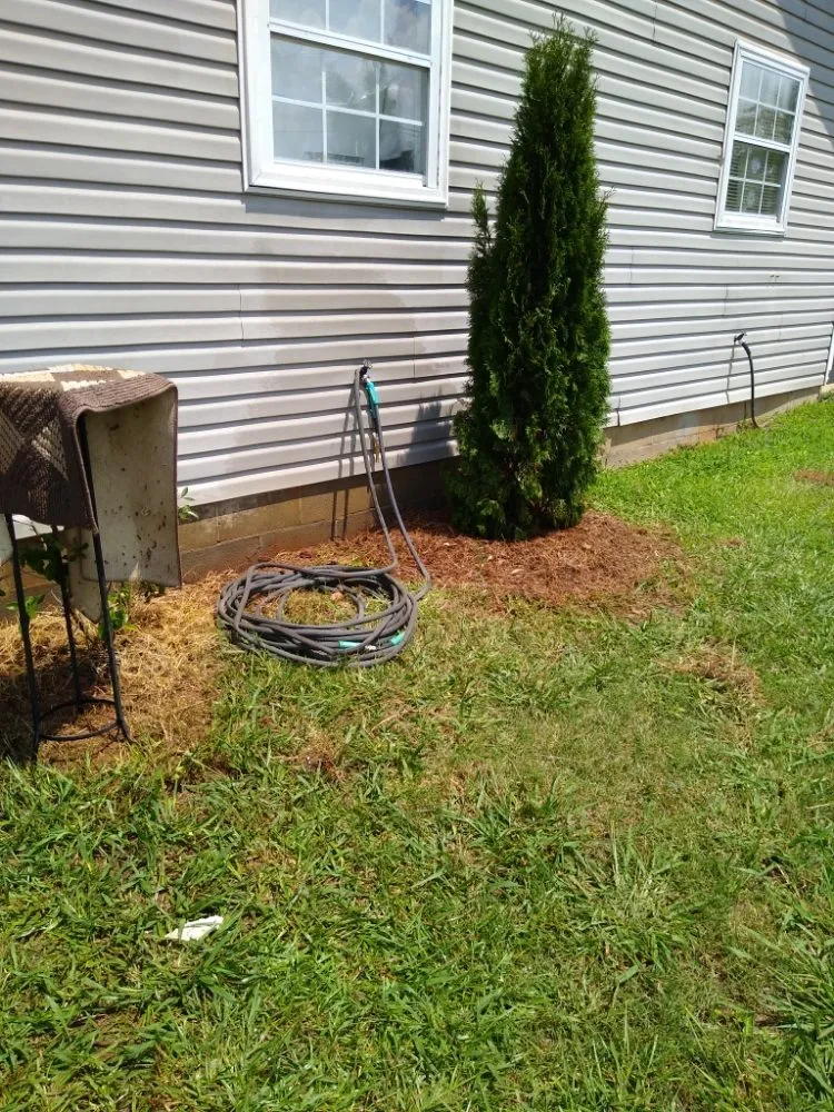 Top-rated yard cleanup service near you in Statham, GA by Holmes Irrigation