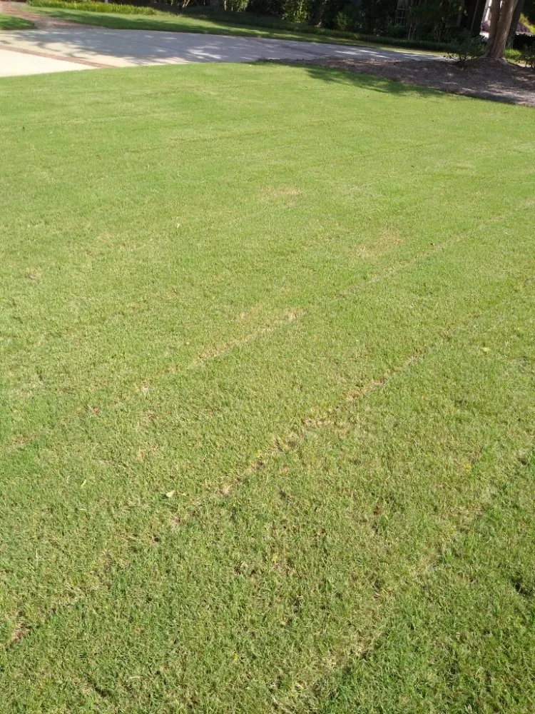 Top-rated landscape design experts serving Statham, GA - Holmes Irrigation