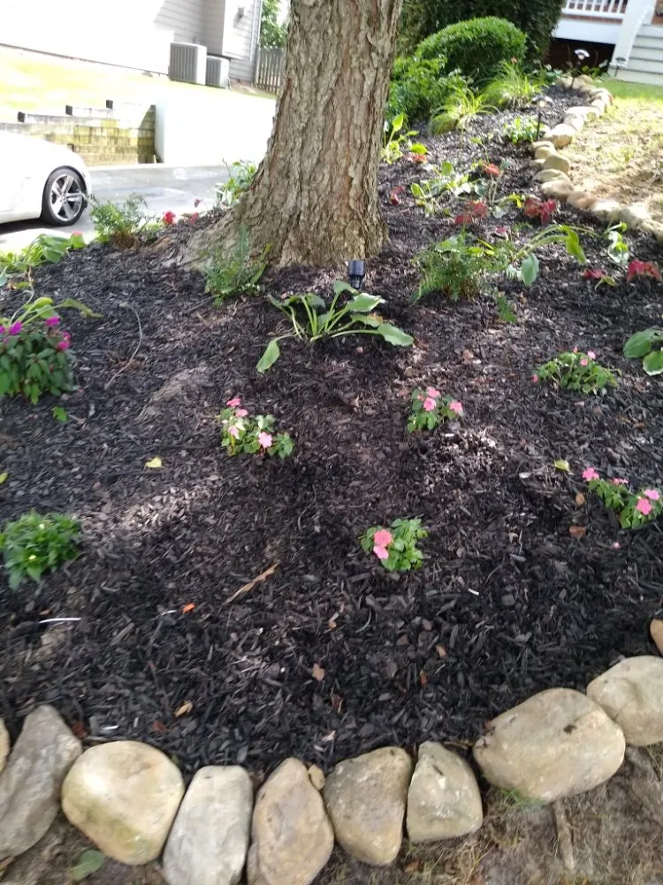 Reliable lawn care service in Statham, GA - Holmes Irrigation