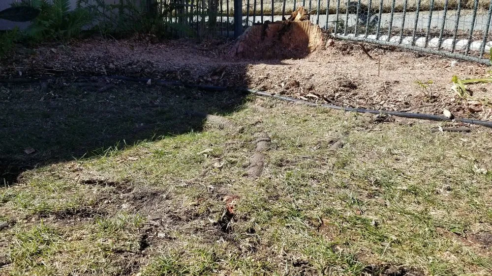 Custom garden landscaping for residential properties across Oceanside, CA - Holmes Landscape Company