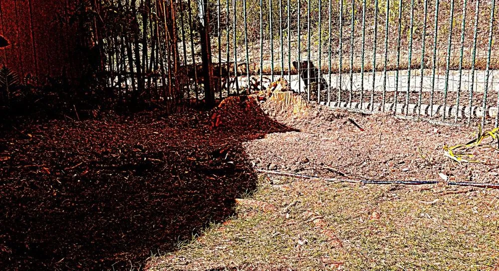 Professional landscape design experts serving Oceanside, CA - Holmes Landscape Company