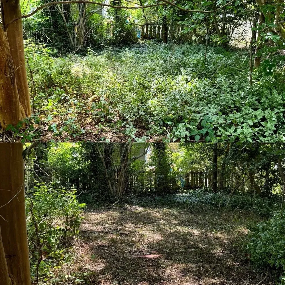 Top-rated lawn care service with custom design across Blackwood, NJ - Holmes Landscaping