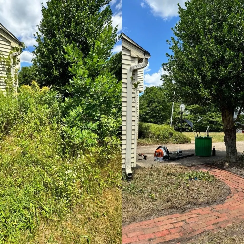 Professional landscape design in Blackwood, NJ - Holmes Landscaping