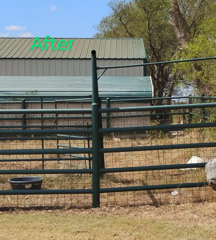 Top-rated landscape design experts serving Gatesville, TX - Holmes Tree service