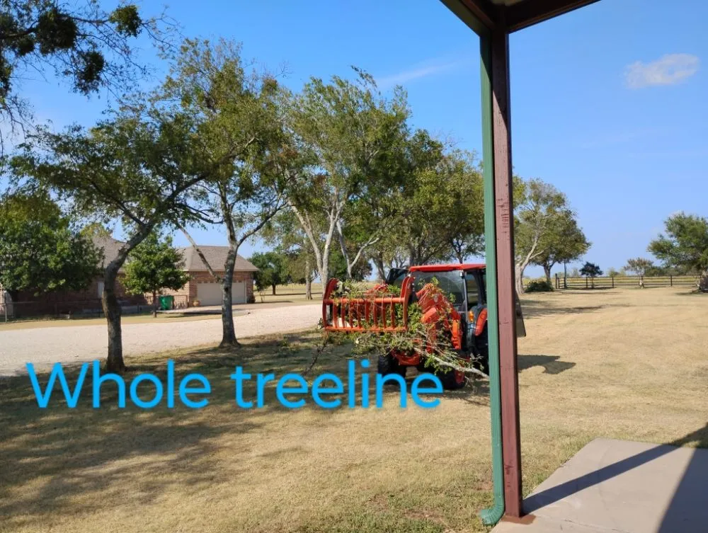Trusted lawn care service near you in Gatesville, TX by Holmes Tree service