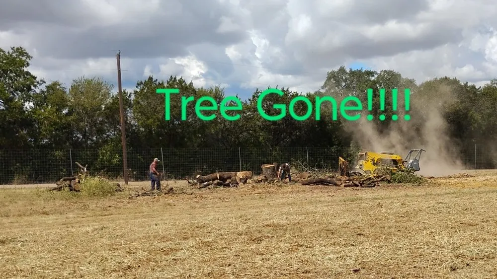Expert yard maintenance in Gatesville, TX - Holmes Tree service