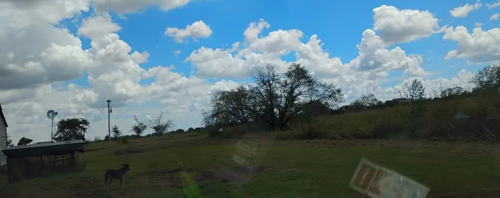 Top-rated landscape design for residential properties in Gatesville, TX by Holmes Tree service