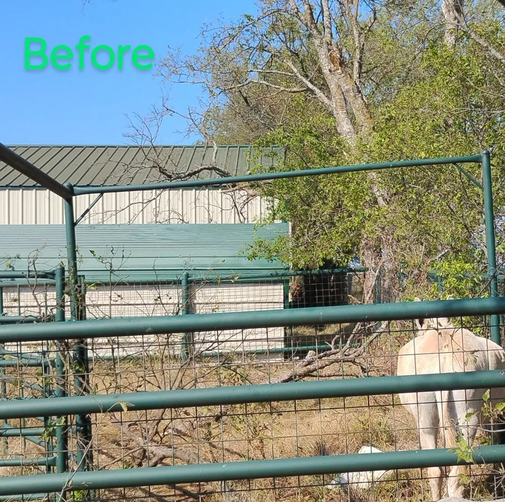 Professional landscape design for homes in Gatesville, TX by Holmes Tree service