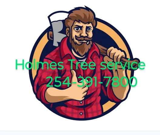 Professional residential landscaping experts serving Gatesville, TX - Holmes Tree service