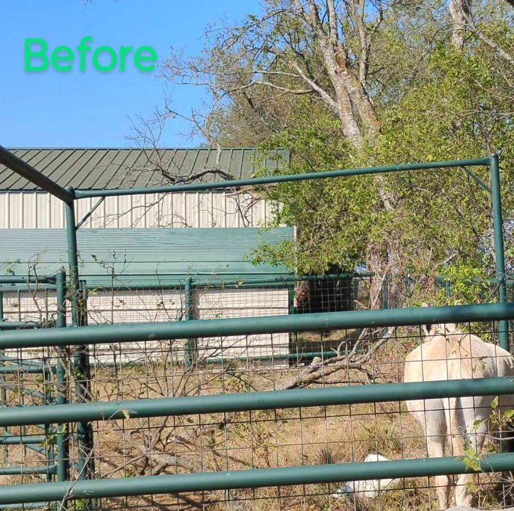 Expert yard cleanup service for residential properties across Gatesville, TX - Holmes Tree service