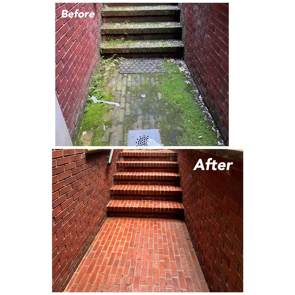 Top-rated landscape design in New York, NY by Holness Ave