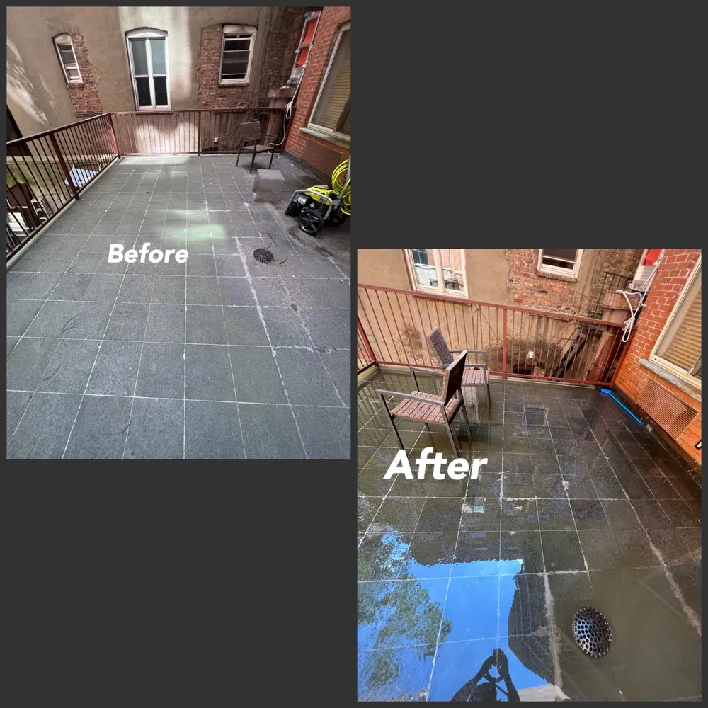 Expert yard cleanup service in New York, NY - Holness Ave