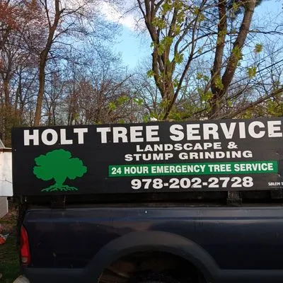 Holt Tree Service Logo