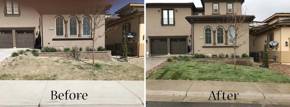 Professional landscaping services for residential properties in Northglenn, CO by Holten Service