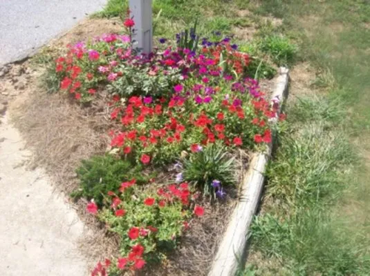 Holton's Lawn Care & Pine Straw Logo