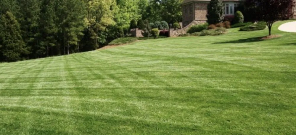 Reliable outdoor landscaping with custom design across Spanish Fort, AL - Holt's Lawn and Landscape