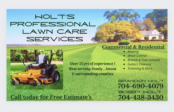 Holt’s professional lawn care services